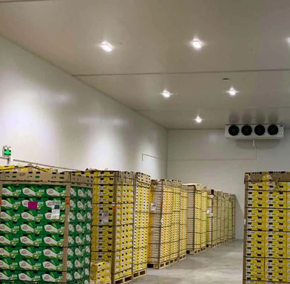 Panel PU de sala de frío personalizable de alta resistencia a la compresión 200kpa y longitud personalizable para un rendimiento óptimo de refrigeración
