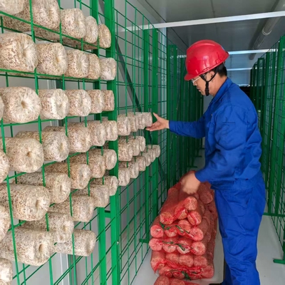 Contenedor de cultivo de hongos con control ambiental preciso