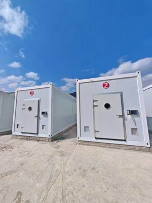 Granja de contenedores de hongos de bajo mantenimiento con monitoreo remoto y contenedor estándar de 20 pies o 40 pies